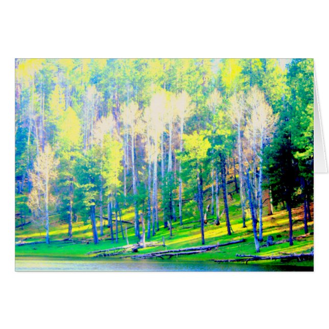 午後の太陽 (正面横)