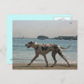 午後の散歩III ポストカード (正面/裏面)