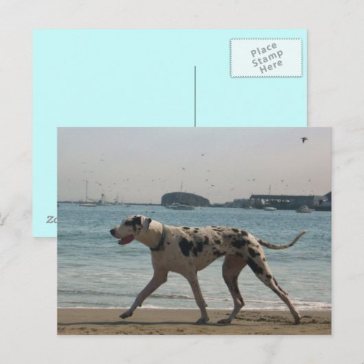 午後の散歩III ポストカード (正面/裏面)