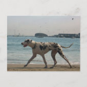 午後の散歩III ポストカード (正面)