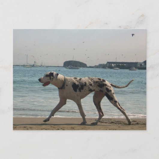 午後の散歩III ポストカード (正面)