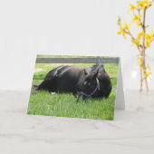 午後の昼寝 カード (黄色い花)