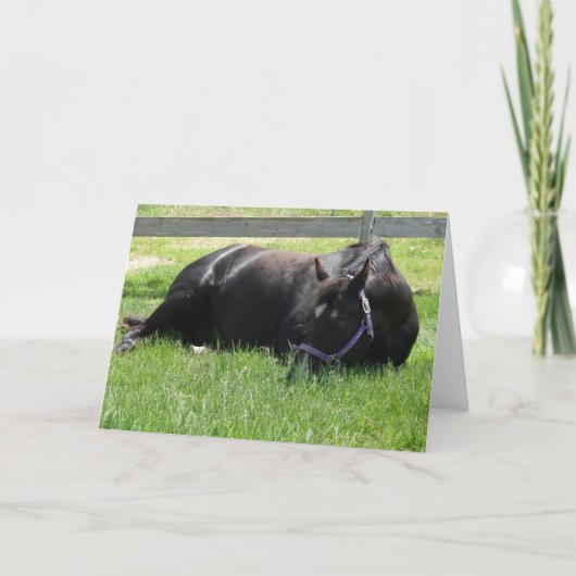 午後の昼寝 カード (正面)