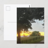 午後の曇り空の夕焼け ポストカード (正面/裏面)