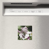 午後の磁石に乗り込む マグネット (インサイチュ (食洗機))