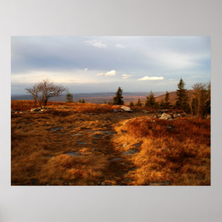 午後の終わりにソッド ポスター