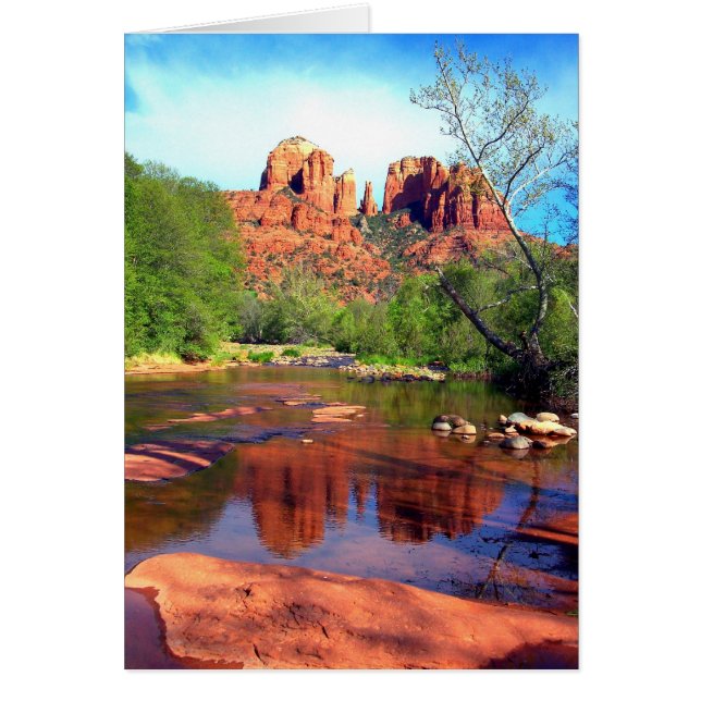 午後の美しい (正面)