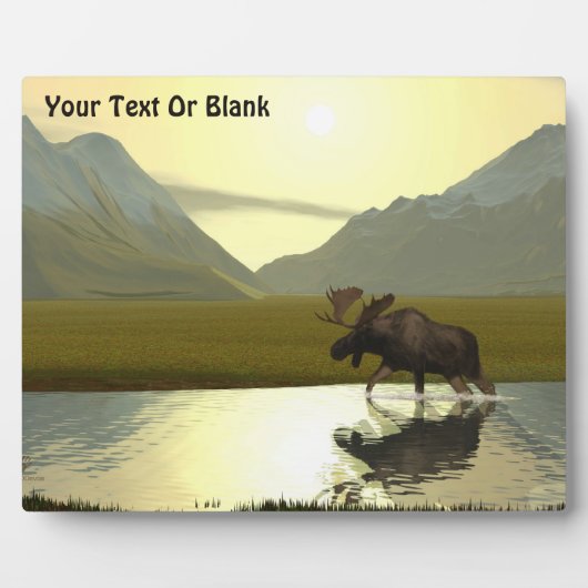 午後ムース フォトプラーク (正面)