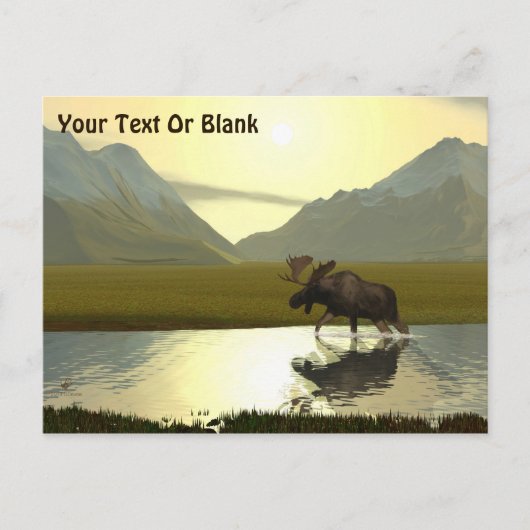 午後ムース ポストカード (正面)