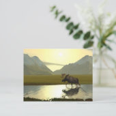 午後ムース ポストカード (スタンド正面)