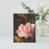 午後独身のにピンク色のバラ ポストカード (スタンド正面)