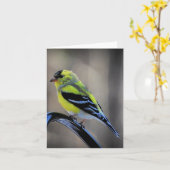 午後遅くにGoldfinch空白の inside カード (黄色い花)