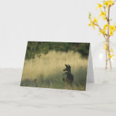 午後Mulieの印Eastonによる挨拶状 カード (黄色い花)