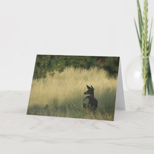 午後Mulieの印Eastonによる挨拶状 カード (正面)