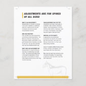 半ウマ科の板 チラシ (正面)