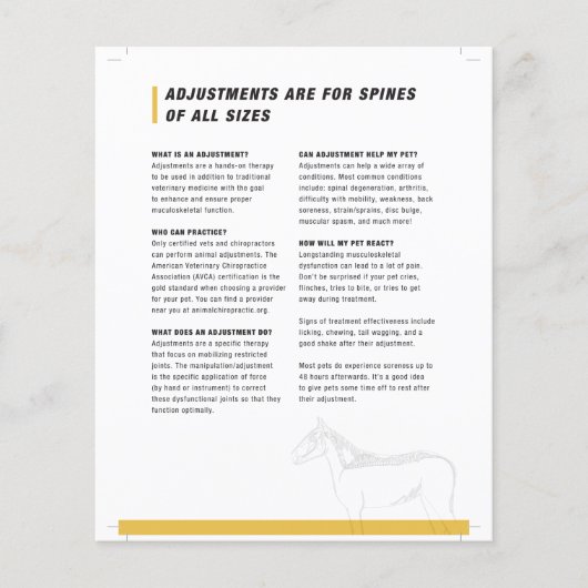 半ウマ科の板 チラシ (正面)