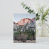 半ドーム・アレングロウ。 ポストカード (スタンド正面)