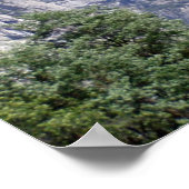 半ドーム ポスター (角)