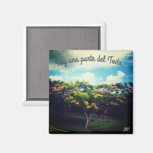 半円状の マグネット (正面/裏面)