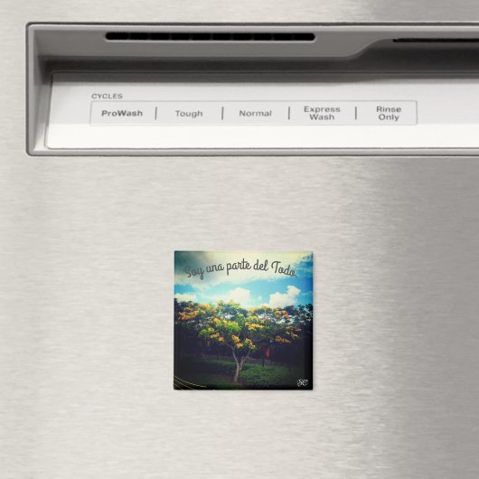 半円状の マグネット (インサイチュ (食洗機))