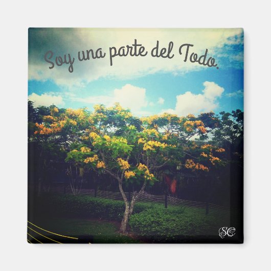 半円状の マグネット (正面)