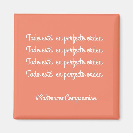 半円状の マグネット (正面)