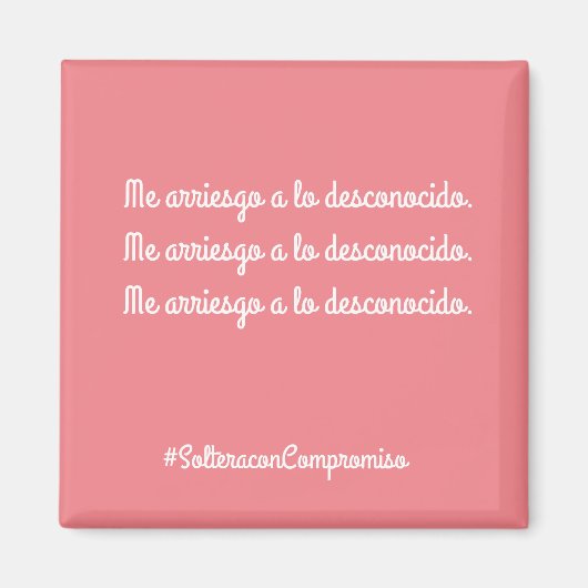 半円状の マグネット (正面)