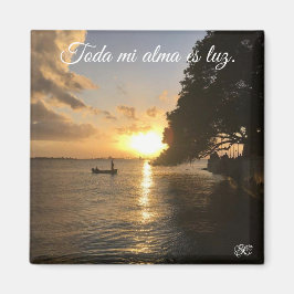 半円状の マグネット