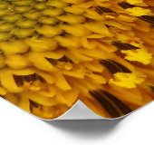 半円 ポスター (角)