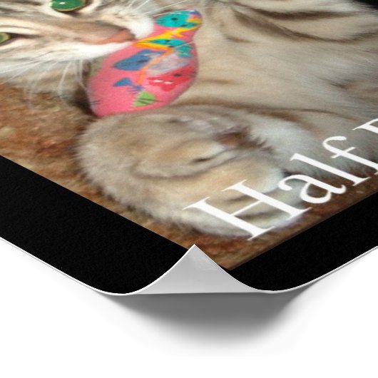 半分と半分 ポスター (角)