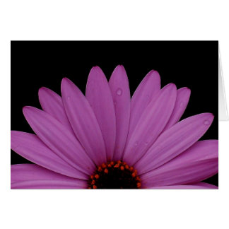 半分のデイジー