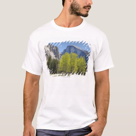 半分のドームの眺め Tシャツ (正面)