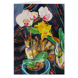 "半分及び半分"