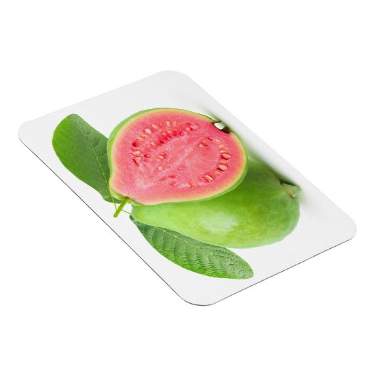 半割グアバ マグネット (右側)