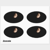 半月 楕円形シール (シート)