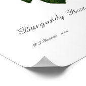 半毛症 ポスター (角)