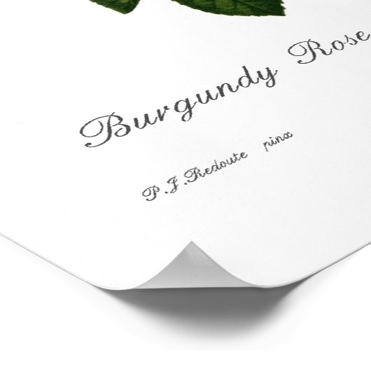 半毛症 ポスター (角)