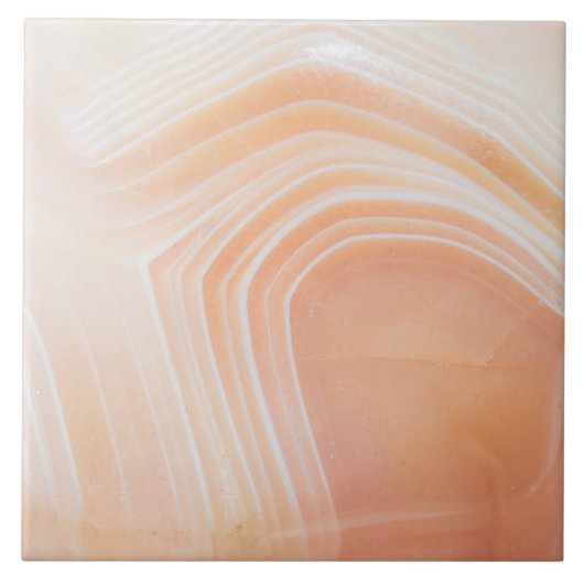 半玉石大切石質構造 タイル (正面)