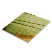 半玉石大切石質構造 タイル (側面)