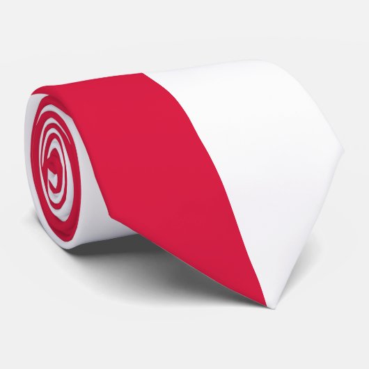 半赤と半白のカラーブロック ネクタイ (ロール)