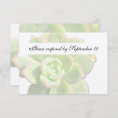 半透明な緑の水気が多いヴィンテージのrsvp 出欠カード (正面/裏面)