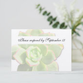 半透明な緑の水気が多いヴィンテージのrsvp 出欠カード (スタンド正面)