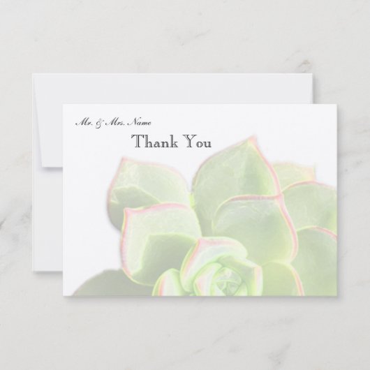 半透明な緑のSucculentは感謝していしています サンキューカード (正面)
