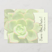 半透明の緑の吸汁日付を保存 案内ポストカード (正面/裏面)