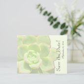 半透明の緑の吸汁日付を保存 案内ポストカード (スタンド正面)