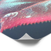 半透明ガラスバラ – ほこりっぽいピンク ポスター (角)