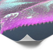 半透明ガラスバラ – ピンク ポスター (角)