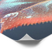 半透明ガラスバラ – ピーチ ポスター (角)