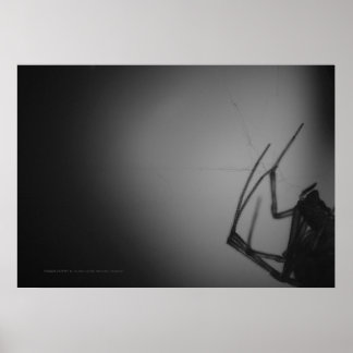 半透明8 ポスター