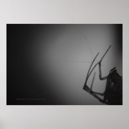 半透明8 ポスター (正面)